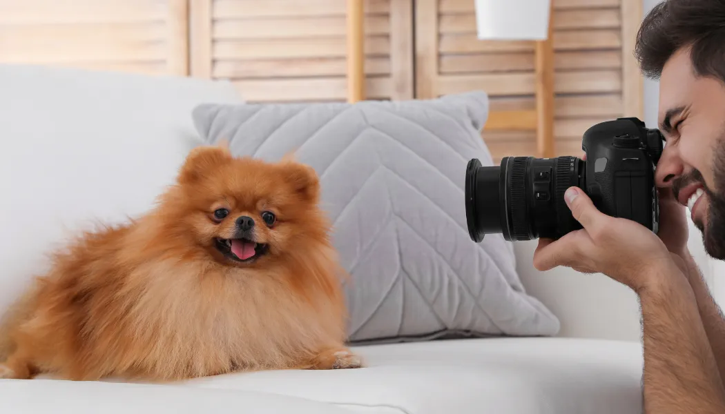 Dubai Pet Photoshoot